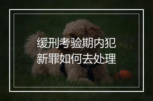 缓刑考验期内犯新罪如何去处理