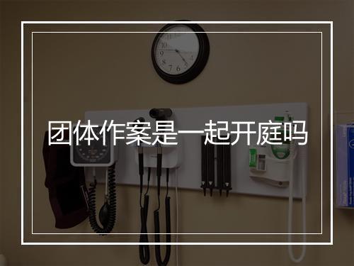 团体作案是一起开庭吗