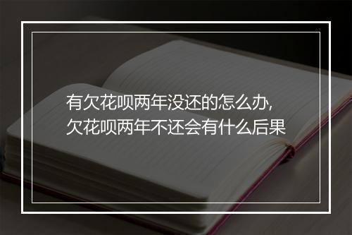 有欠花呗两年没还的怎么办,欠花呗两年不还会有什么后果