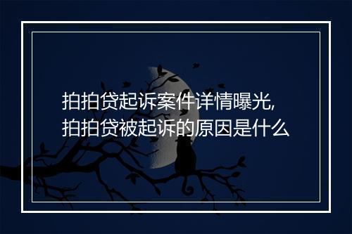 拍拍贷起诉案件详情曝光,拍拍贷被起诉的原因是什么