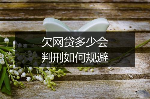 欠网贷多少会判刑如何规避