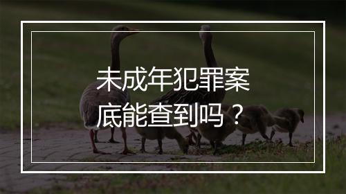 未成年犯罪案底能查到吗？