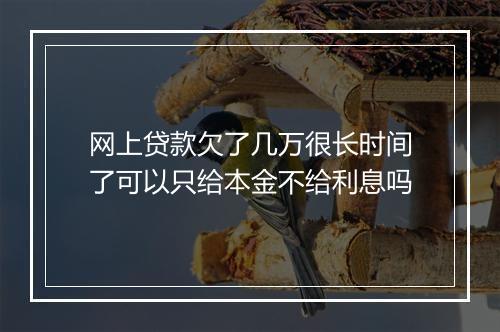 网上贷款欠了几万很长时间了可以只给本金不给利息吗