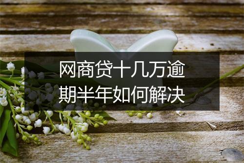 网商贷十几万逾期半年如何解决