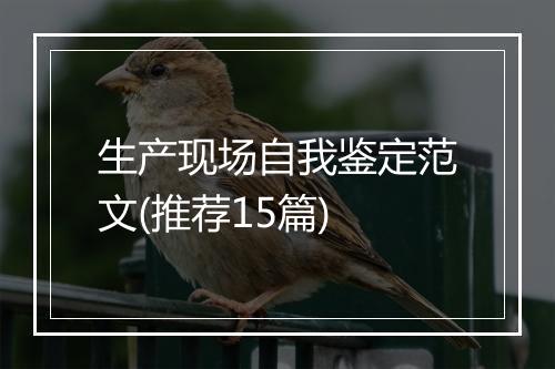 生产现场自我鉴定范文(推荐15篇)