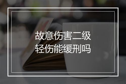 故意伤害二级轻伤能缓刑吗