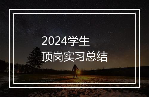 2024学生顶岗实习总结