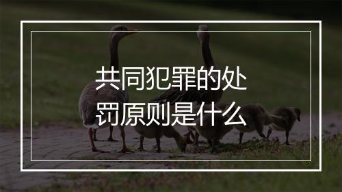 共同犯罪的处罚原则是什么