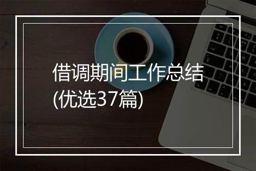 借调期间工作总结(优选37篇)