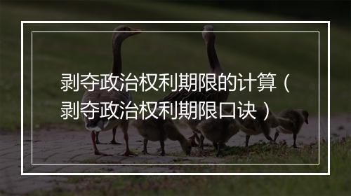 剥夺政治权利期限的计算（剥夺政治权利期限口诀）