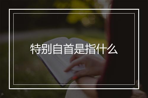 特别自首是指什么