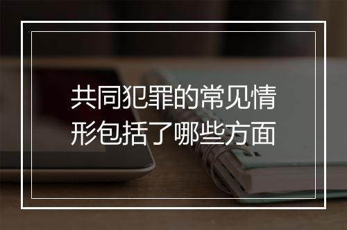 共同犯罪的常见情形包括了哪些方面
