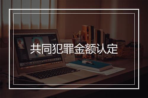 共同犯罪金额认定