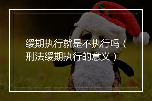 缓期执行就是不执行吗（刑法缓期执行的意义）