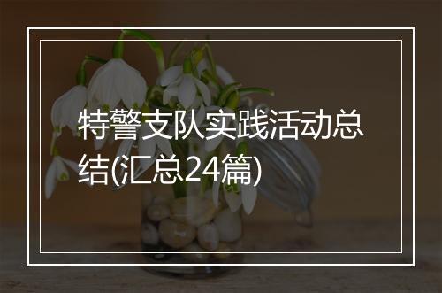 特警支队实践活动总结(汇总24篇)