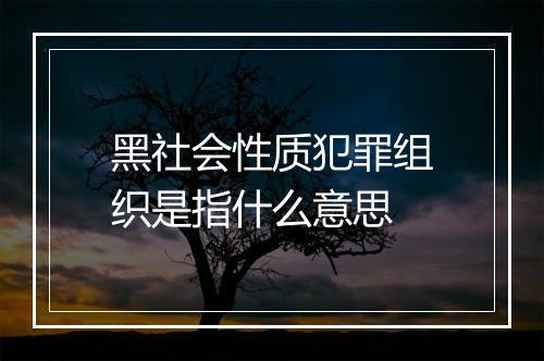 黑社会性质犯罪组织是指什么意思