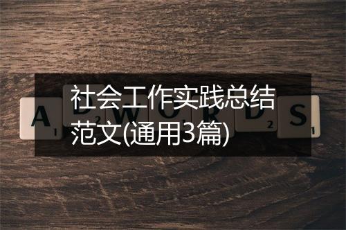社会工作实践总结范文(通用3篇)