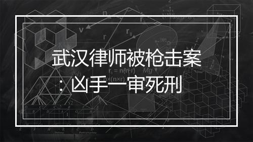 武汉律师被枪击案：凶手一审死刑