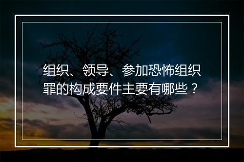 组织、领导、参加恐怖组织罪的构成要件主要有哪些？