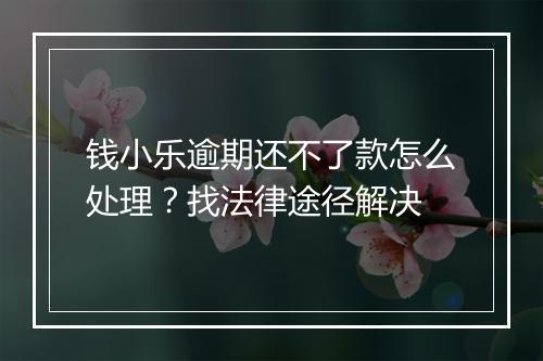 钱小乐逾期还不了款怎么处理？找法律途径解决