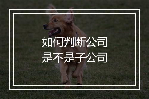 如何判断公司是不是子公司