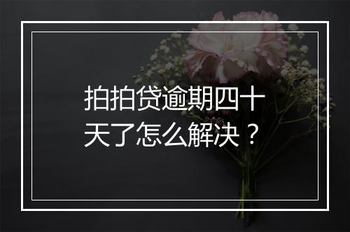 拍拍贷逾期四十天了怎么解决？