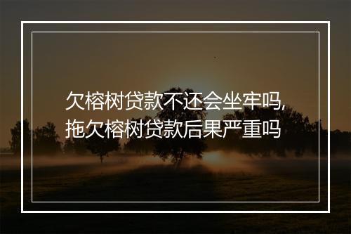 欠榕树贷款不还会坐牢吗,拖欠榕树贷款后果严重吗