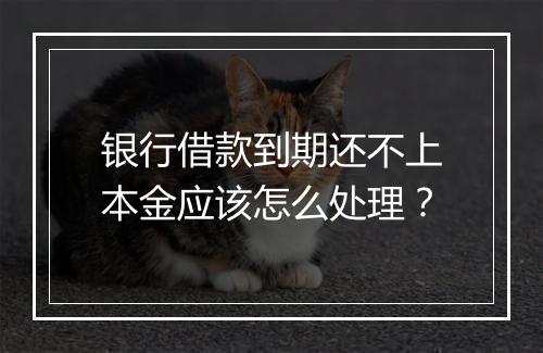 银行借款到期还不上本金应该怎么处理？