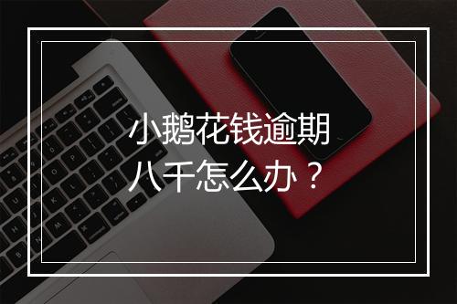 小鹅花钱逾期八千怎么办？