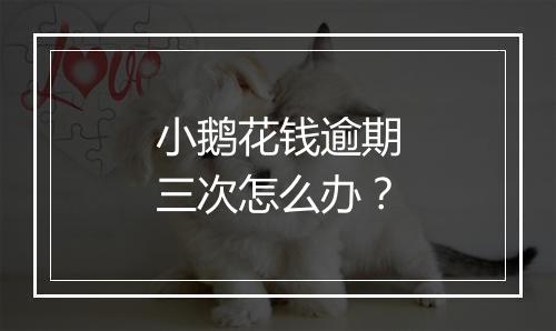 小鹅花钱逾期三次怎么办？
