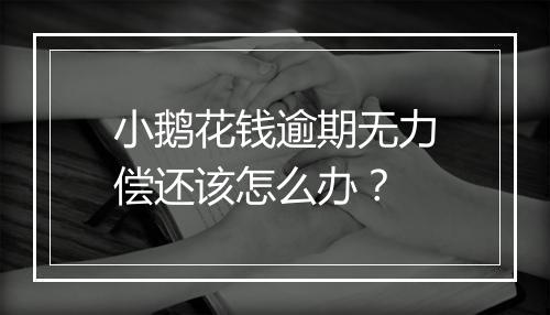 小鹅花钱逾期无力偿还该怎么办？