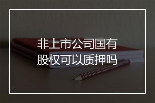 非上市公司国有股权可以质押吗