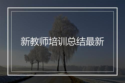 新教师培训总结最新