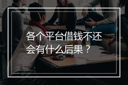 各个平台借钱不还会有什么后果？