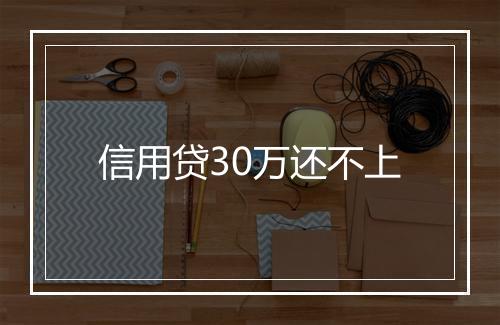 信用贷30万还不上