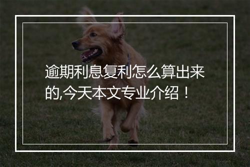 逾期利息复利怎么算出来的,今天本文专业介绍！