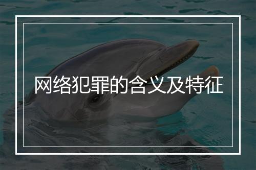 网络犯罪的含义及特征