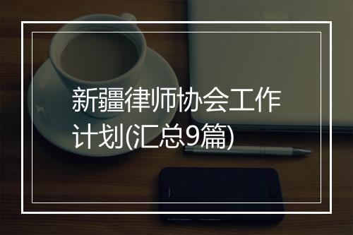 新疆律师协会工作计划(汇总9篇)