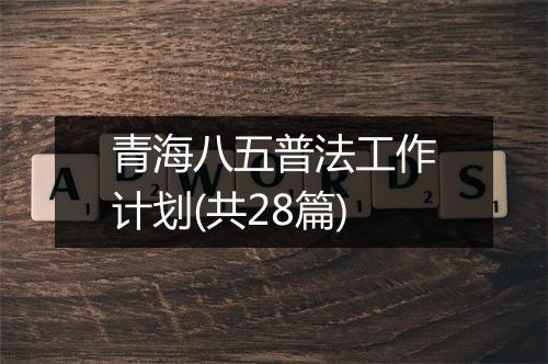 青海八五普法工作计划(共28篇)