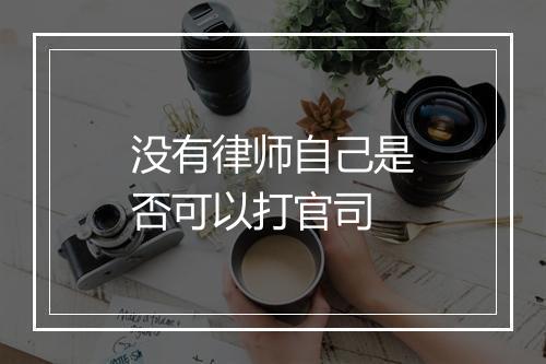 没有律师自己是否可以打官司