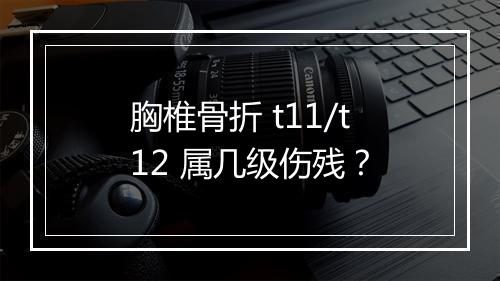 胸椎骨折 t11/t12 属几级伤残？