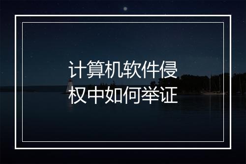 计算机软件侵权中如何举证