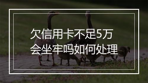 欠信用卡不足5万会坐牢吗如何处理