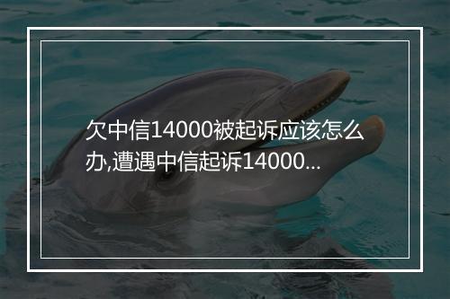 欠中信14000被起诉应该怎么办,遭遇中信起诉14000欠款的解决
