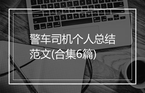 警车司机个人总结范文(合集6篇)