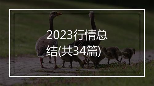 2023行情总结(共34篇)