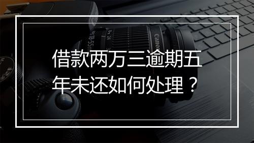 借款两万三逾期五年未还如何处理？