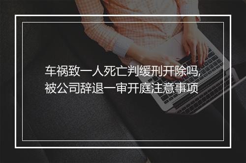 车祸致一人死亡判缓刑开除吗,被公司辞退一审开庭注意事项