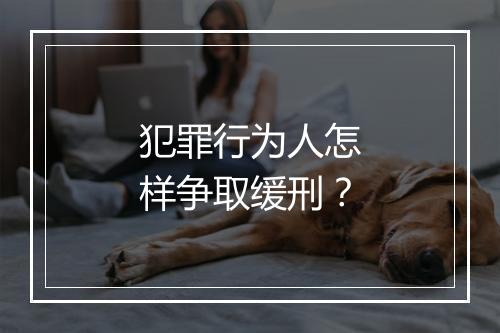 犯罪行为人怎样争取缓刑？