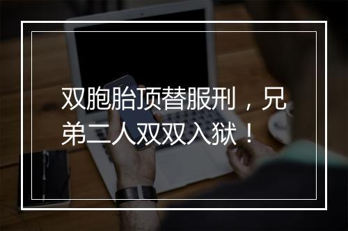 双胞胎顶替服刑，兄弟二人双双入狱！